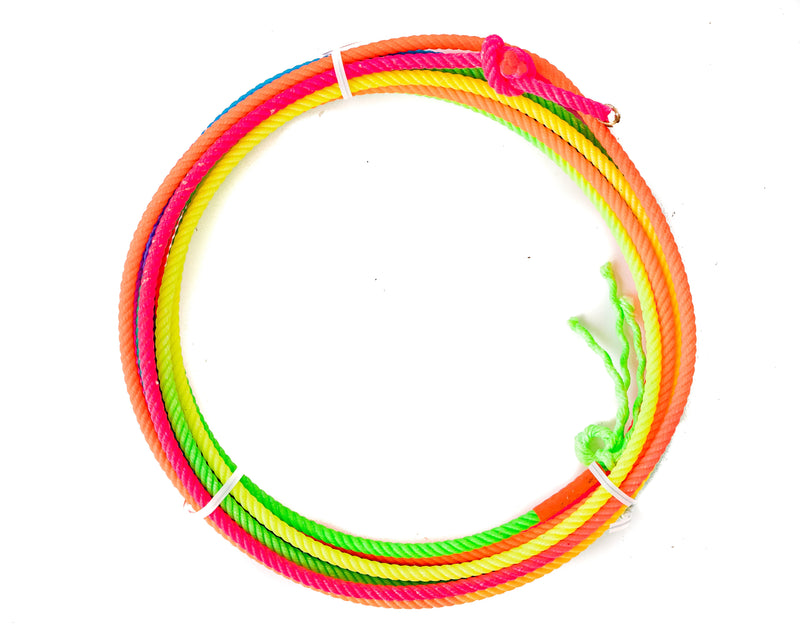 Load image into Gallery viewer, Fastlane Chicken Rope - Rainbow
