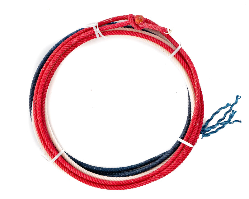Load image into Gallery viewer, Fastlane Chicken Rope - Red/White/Blue
