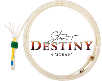Cactus Destiny 4