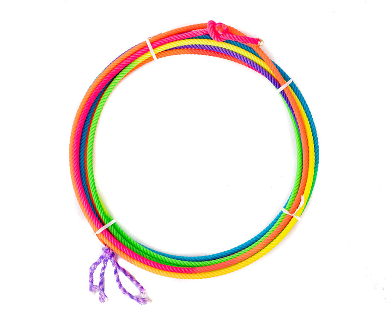 Load image into Gallery viewer, Fast Lane Goat Ropes - Rainbow

