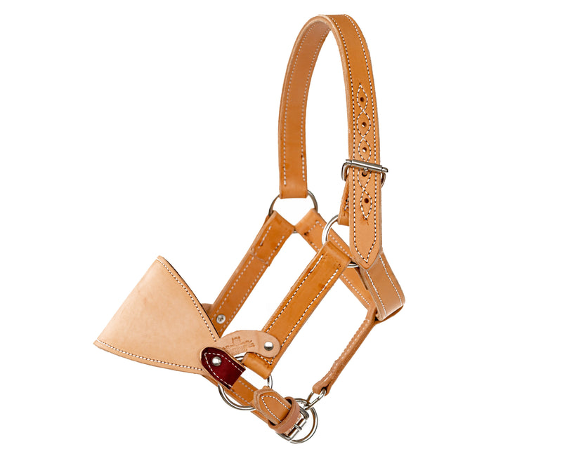 Load image into Gallery viewer, Leather Jr. Bronc Halter
