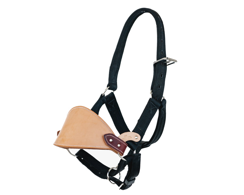 Load image into Gallery viewer, Beastmaster Adult Nylon Bronc Halter
