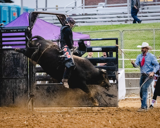 Top 5 Bull Riding Products For 2026