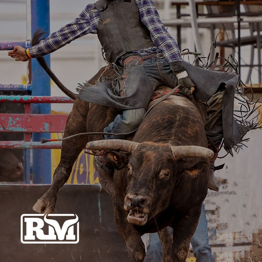 The Complete Beginner's Guide to Bull Riding Gear