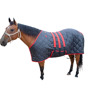 Horse Blankets & Sheets