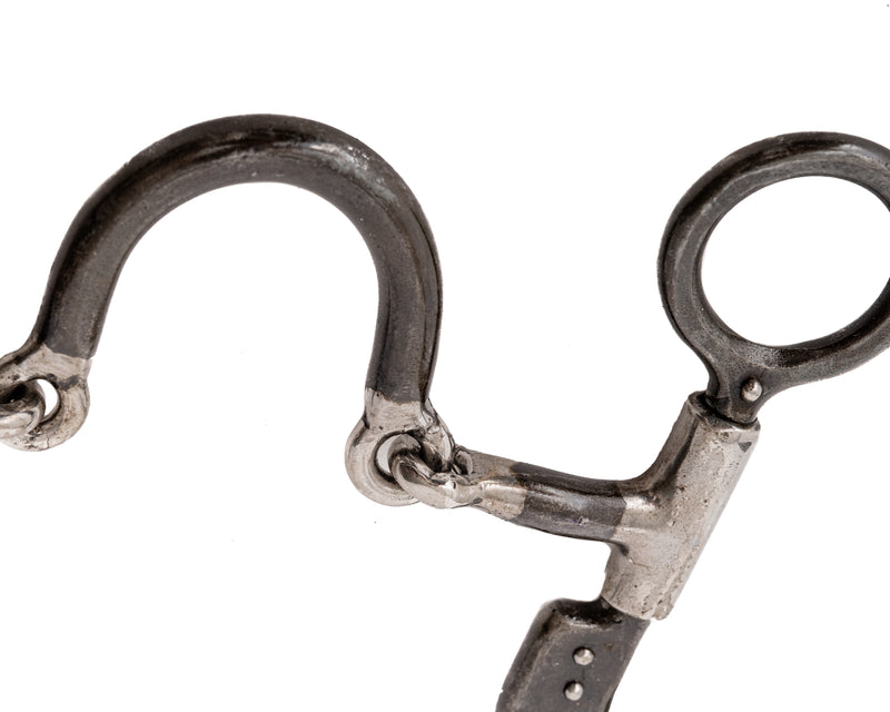 Load image into Gallery viewer, Jerry Beagley Crazy Snaffle Bit
