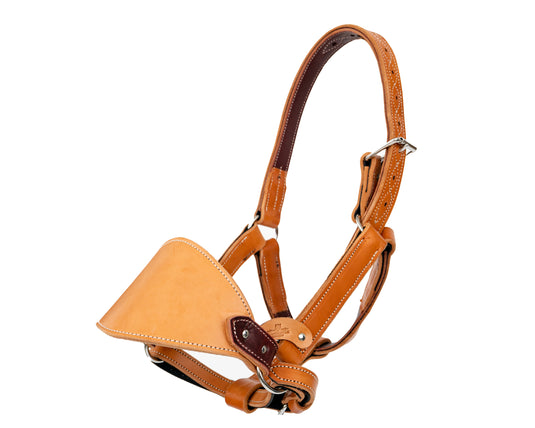 Adult Saddle Bronc Halters & Reins