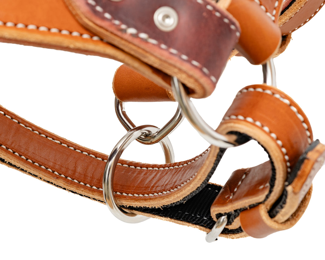 Beastmaster Adult Leather Saddle Bronc Halter Rodeo Mart