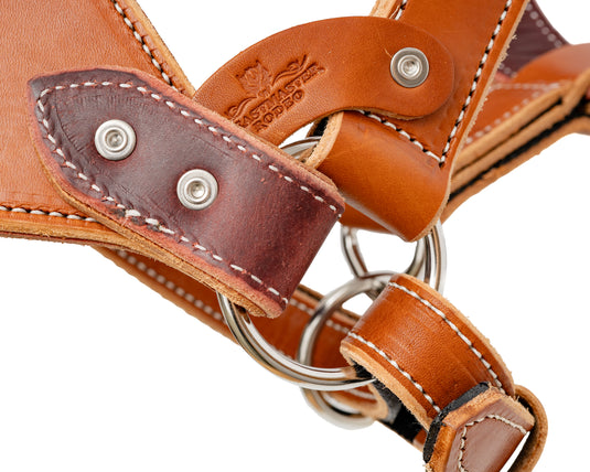 Beastmaster Adult Leather Saddle Bronc Halter