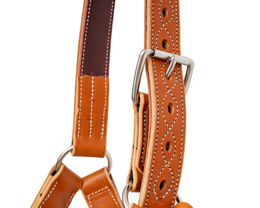 Beastmaster Adult Leather Saddle Bronc Halter