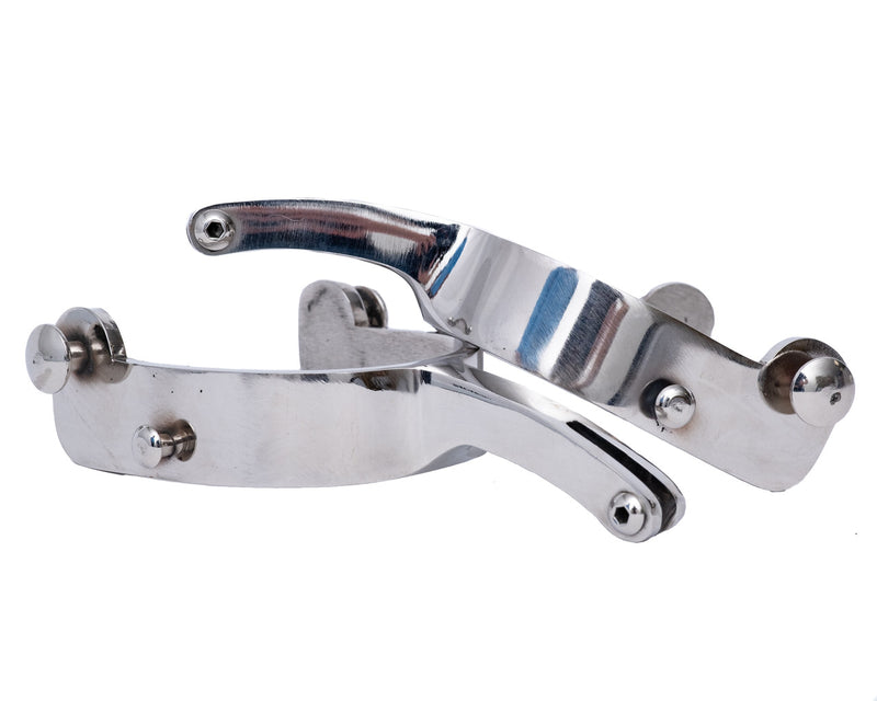 Load image into Gallery viewer, Beastmaster Stainless Bareback Spurs - Tear Drop
