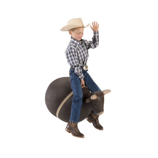 Bouncy Bull
