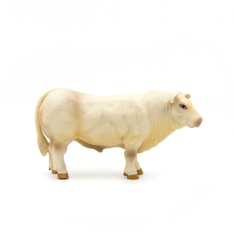 Load image into Gallery viewer, Charolais Bull
