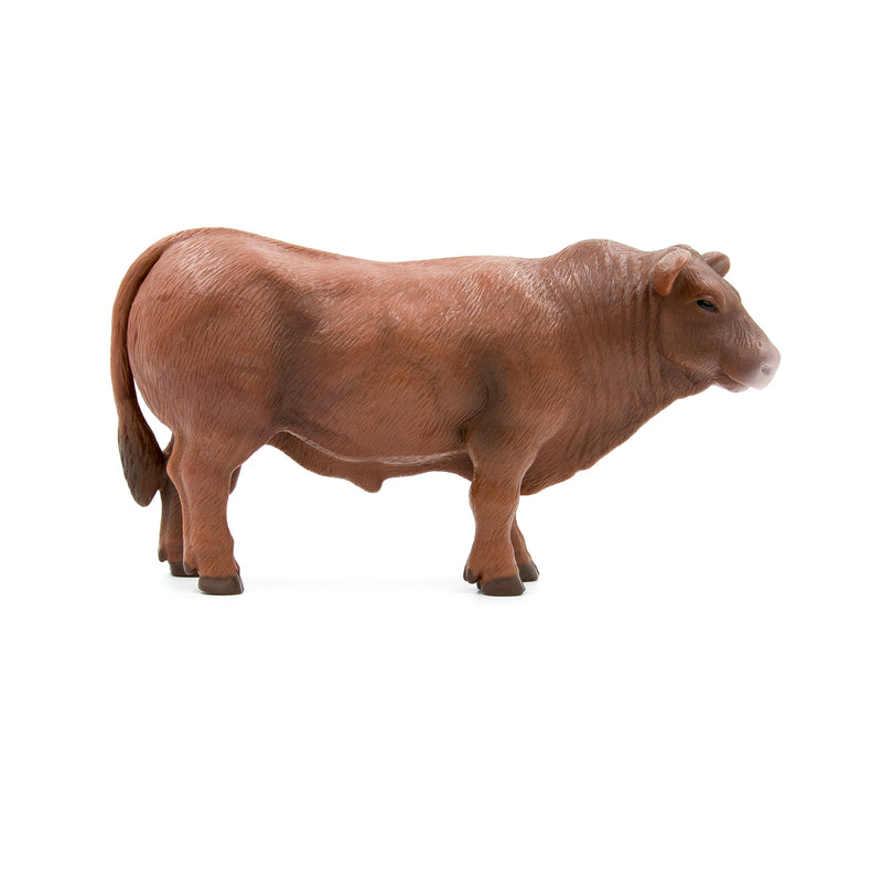 Load image into Gallery viewer, Red Angus Bull
