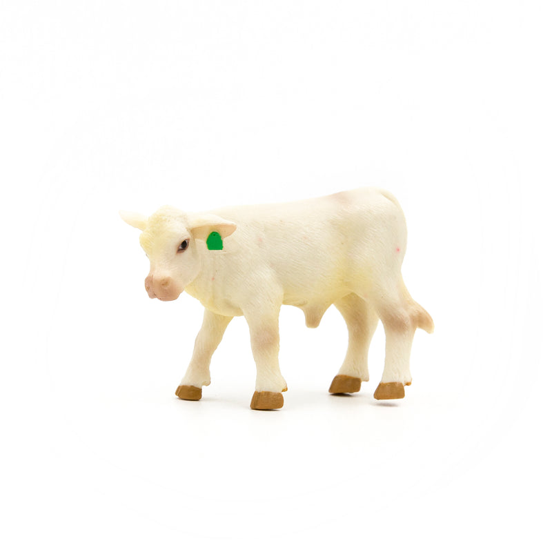 Load image into Gallery viewer, Charolais Calf
