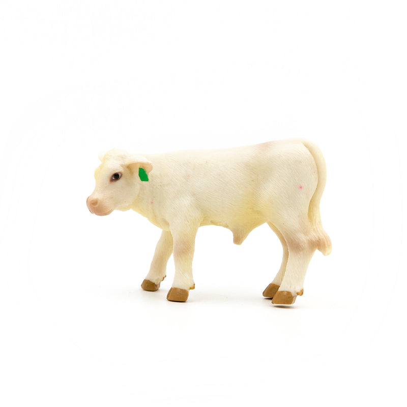 Load image into Gallery viewer, Charolais Calf
