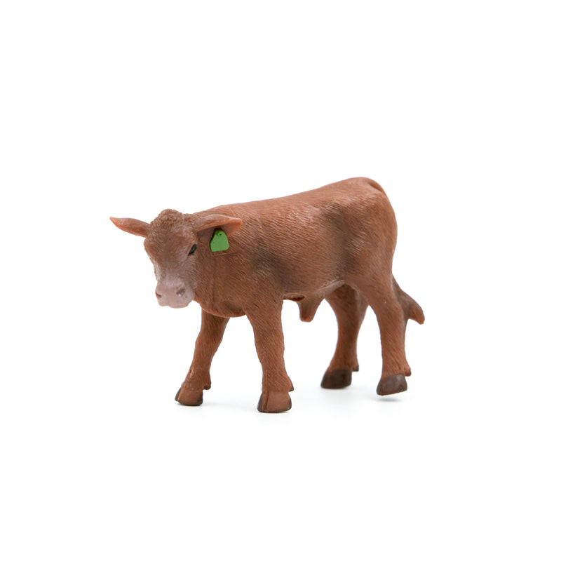 Load image into Gallery viewer, Red Angus Calf
