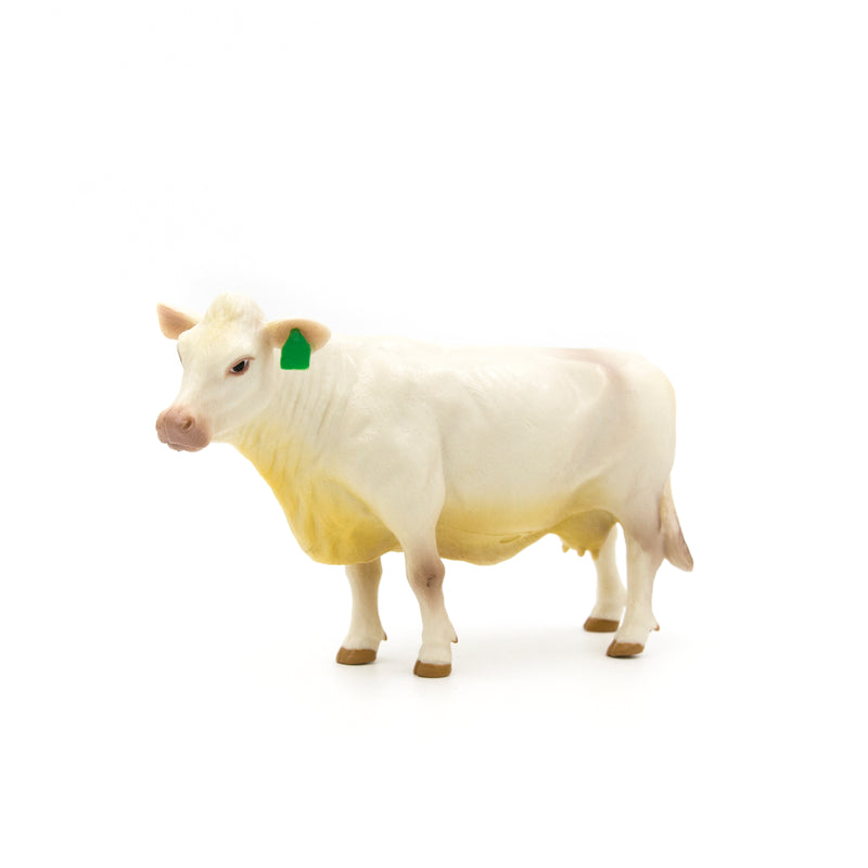 Load image into Gallery viewer, Charolais Cow
