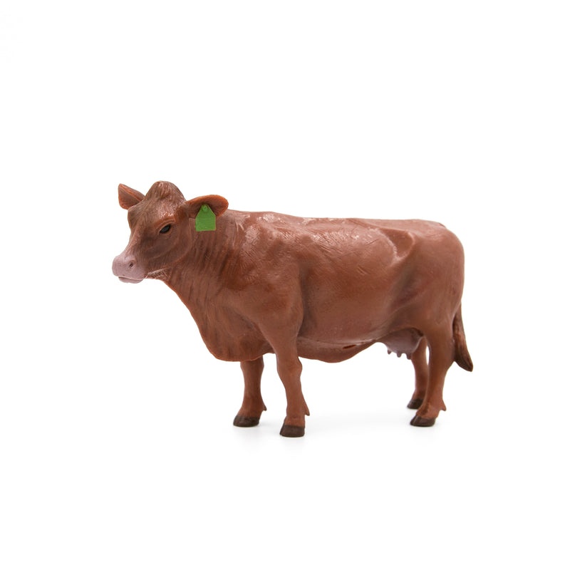 Load image into Gallery viewer, Red Angus Cow
