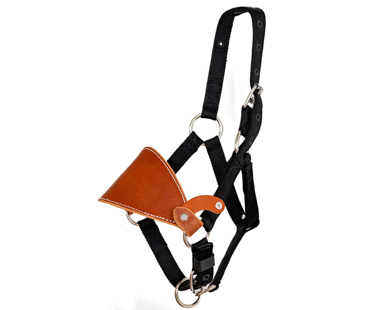 Load image into Gallery viewer, Beastmaster Junior Nylon Saddle Bronc Halter
