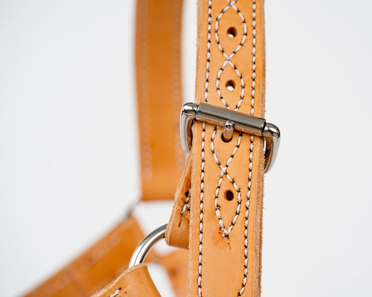 Beastmaster Junior Leather Saddle Bronc Halter