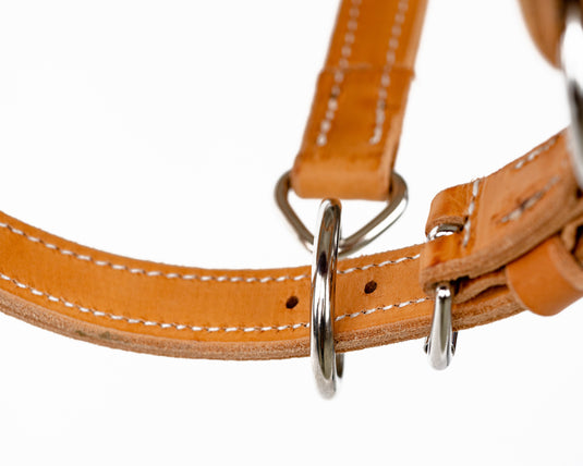 Beastmaster Junior Leather Saddle Bronc Halter