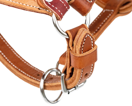 Mini Bronc Halter