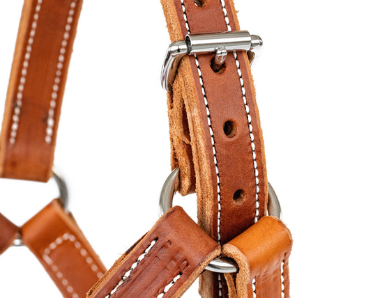 Beastmaster Mini Leather Saddle Bronc Halter