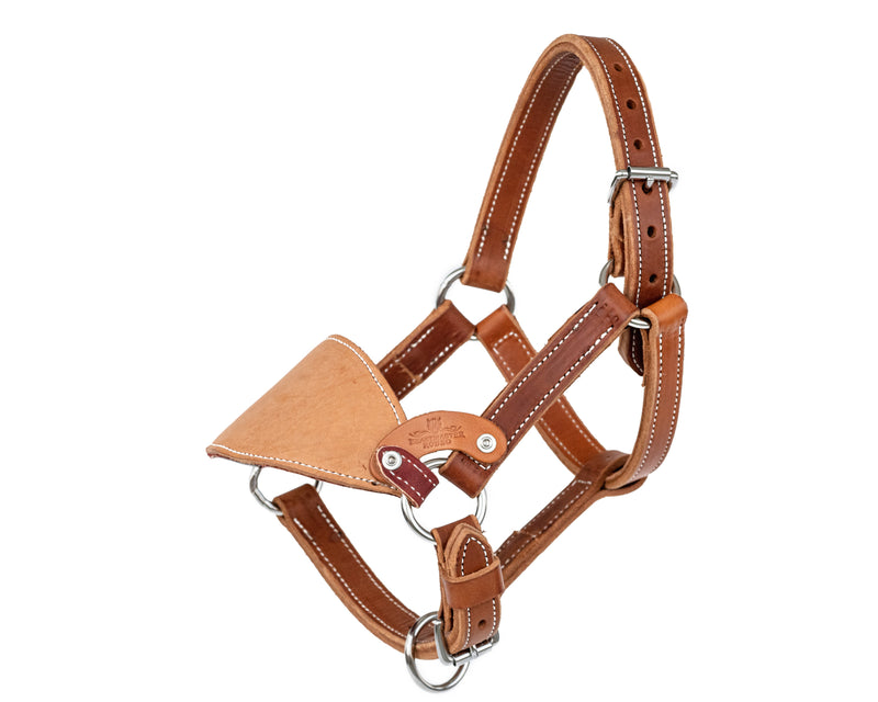 Load image into Gallery viewer, Leather Mini Bronc Halter
