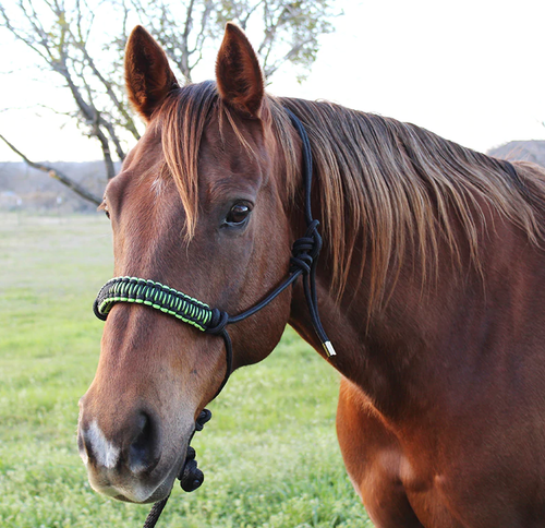 Fast Back Black/ Neon Rope Halter with Lead